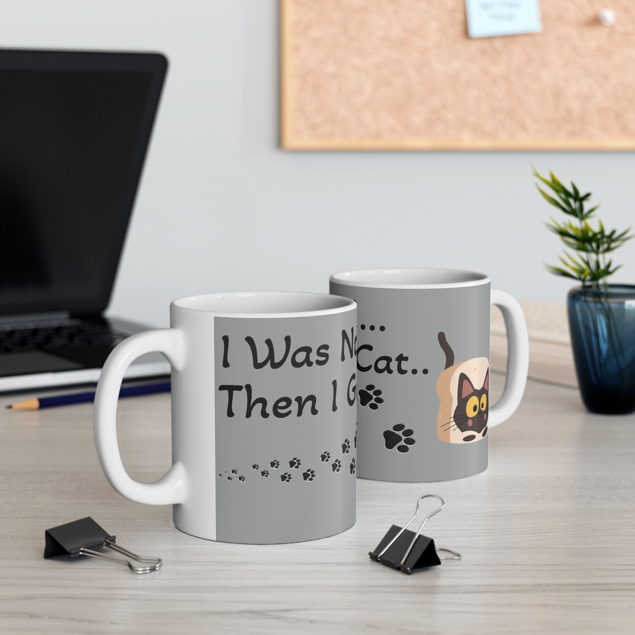 I Was Normal...Then I Got A Cat..– For all Cat moms  ( Ceramic 11oz Mug)