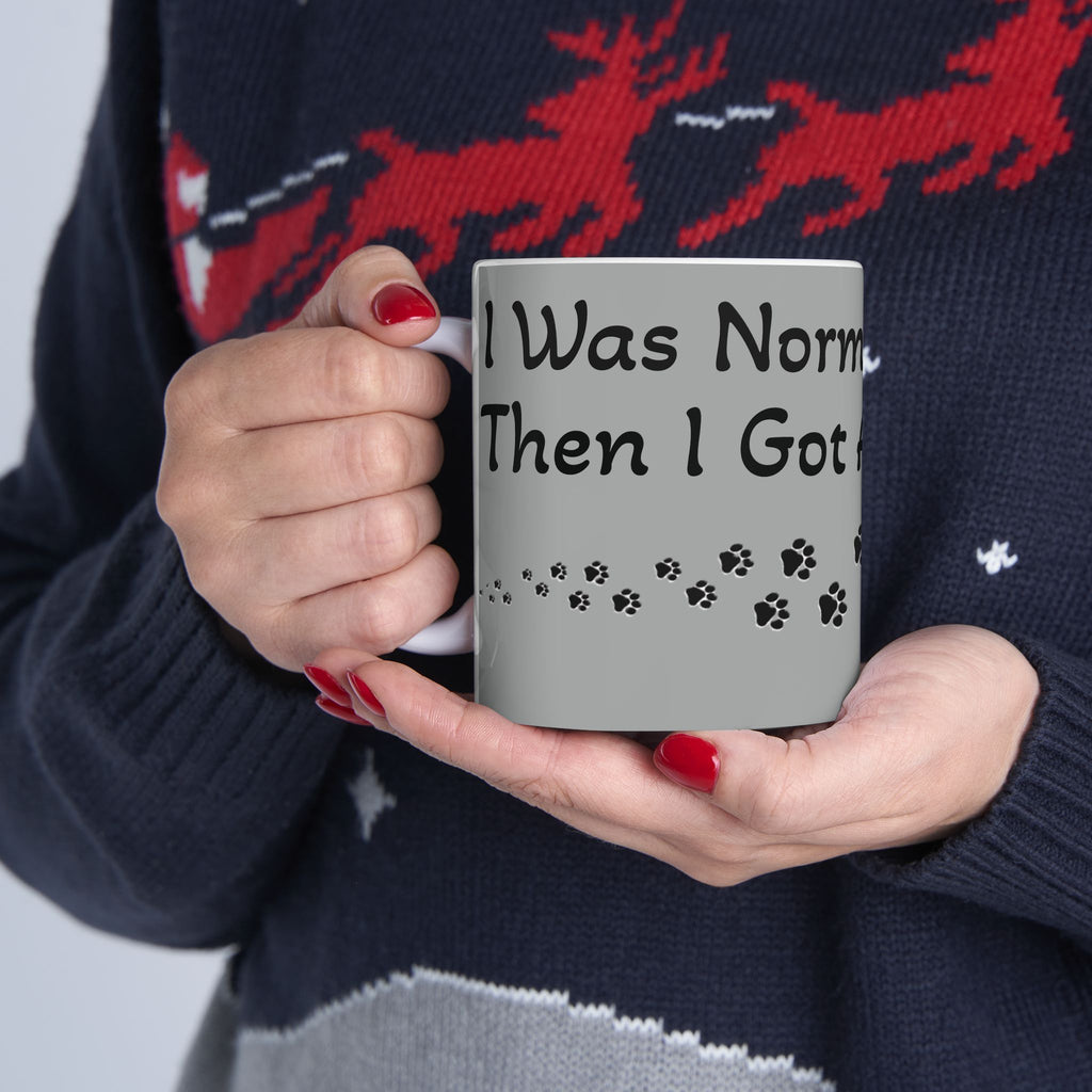 I Was Normal...Then I Got A Cat..– For all Cat moms  ( Ceramic 11oz Mug)